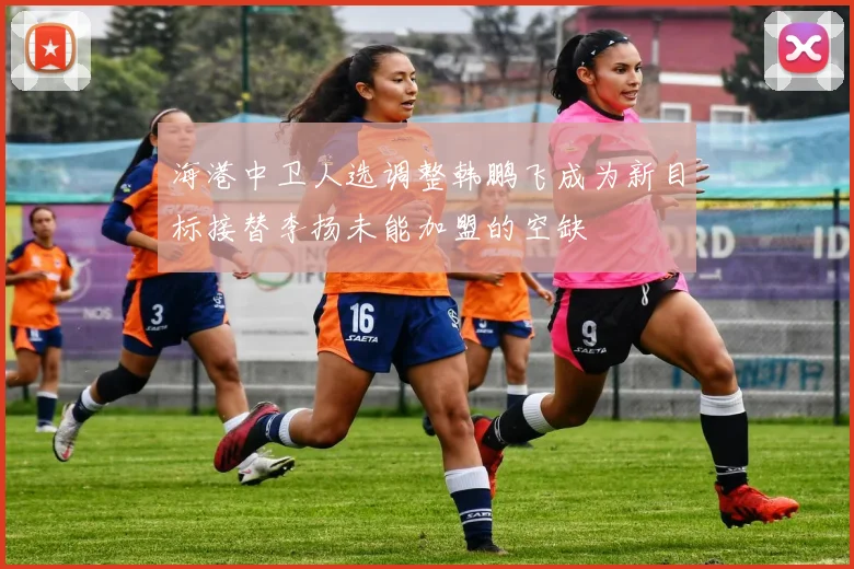 海港中卫人选调整韩鹏飞成为新目标接替李扬未能加盟的空缺